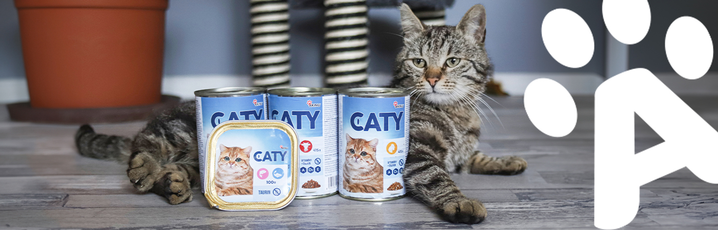 Caty